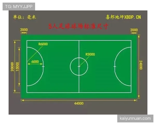 球场尺寸规则：国际赛与业余比赛的长度与宽度标准